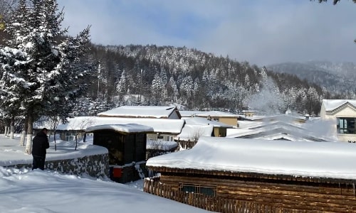 snow village-Northeastern